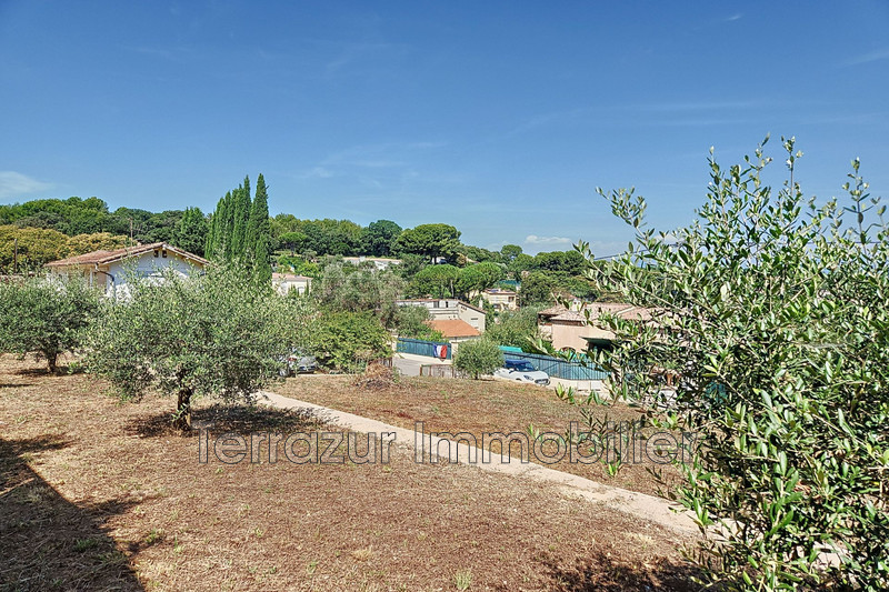 Vente terrain à bâtir Vallauris  