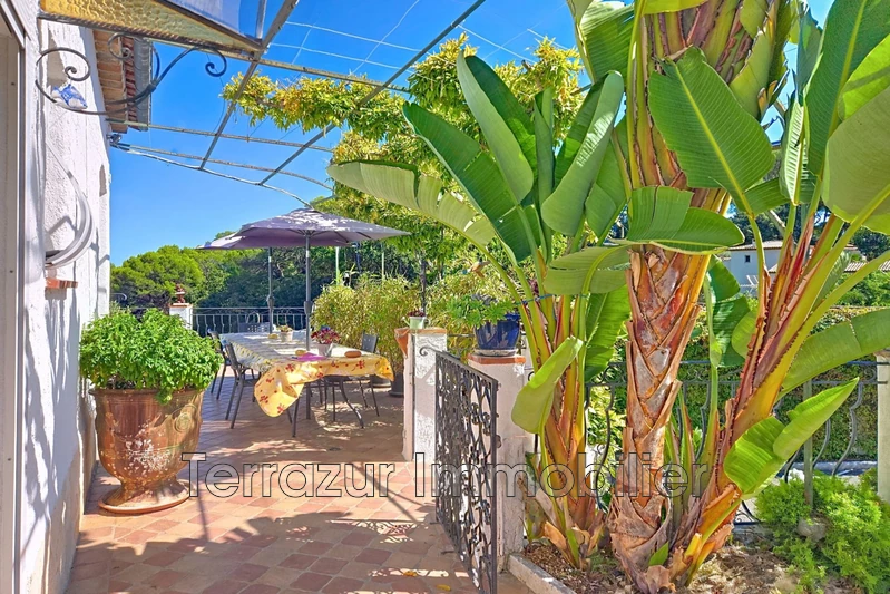 Vente villa provençale Antibes  