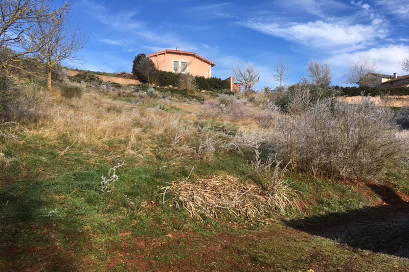 Photo Terrain Montlaur Village, achat terrain 1724 m²