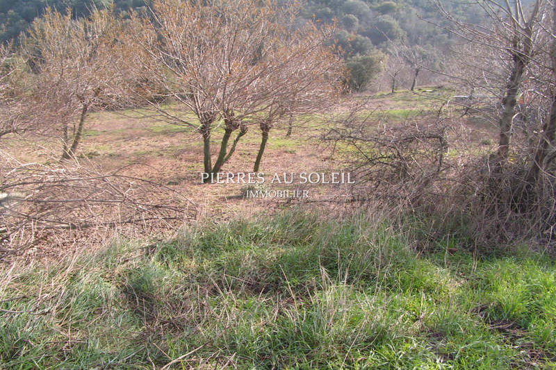 Photo Terrain Carlencas-et-Levas Herault, achat terrain 800 m²
