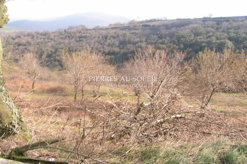 Photo Land Carlencas-et-Levas Herault, to buy land 750 m²