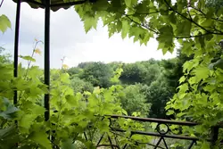 Vente maison Rosis  