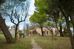 Vente propriété Mèze Vente propriété Mèze