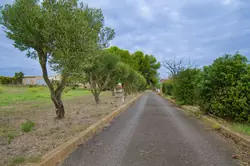 Vente propriété Mèze Vente propriété Mèze