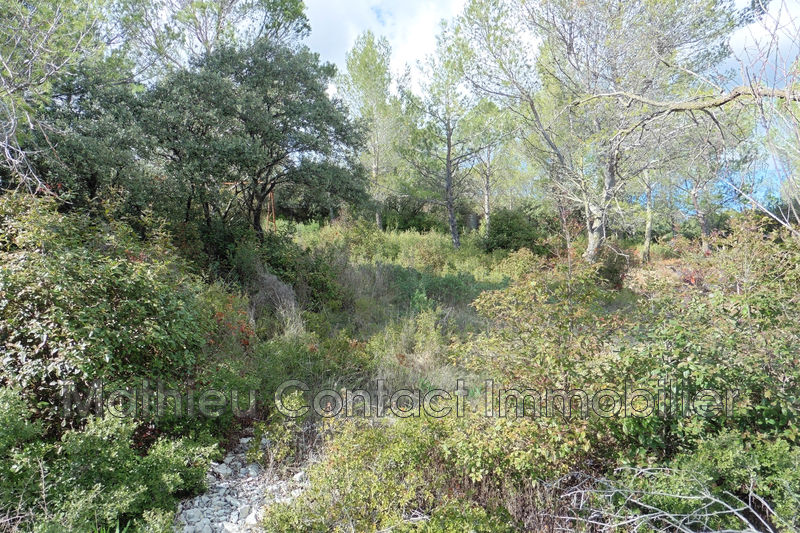 Photo Terrain Nîmes Centre-ville, achat terrain 1100 m²