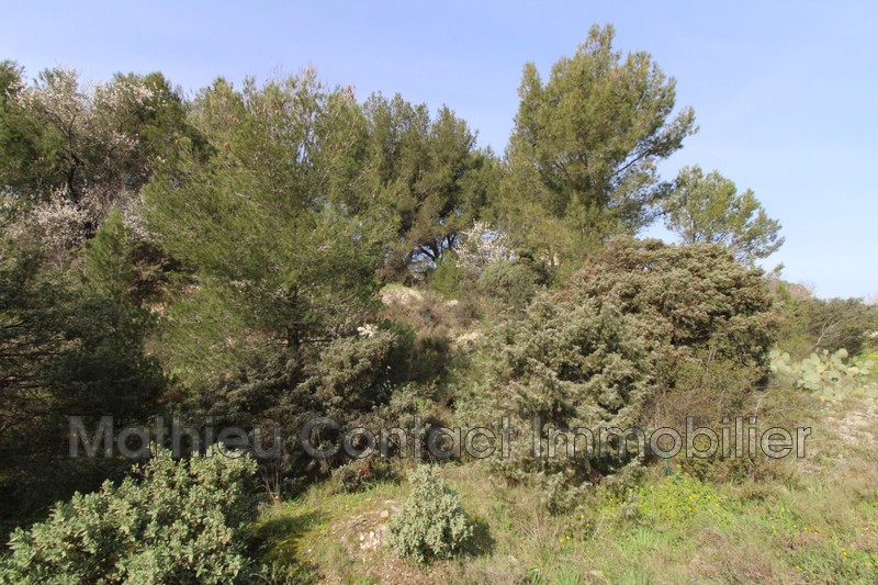 Photo Terrain Cabrières achat terrain 850 m²