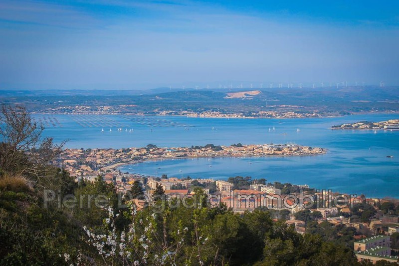 Photo Locaux Balaruc-les-Bains Entree sortie autoroute,  Professionnel locaux   313&nbsp;m&sup2;