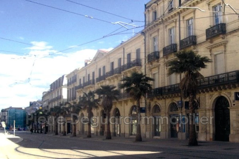 Photo Bureau Montpellier Centre-ville,  Professionnel bureau   333&nbsp;m&sup2;