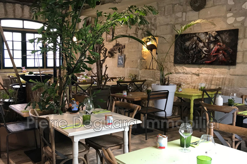 Photo Aigues-Mortes Professionnel 230 m²