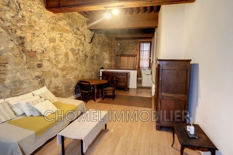 Appartement Lyon Centre-ville,   achat appartement  2 pièces   53&nbsp;m&sup2;