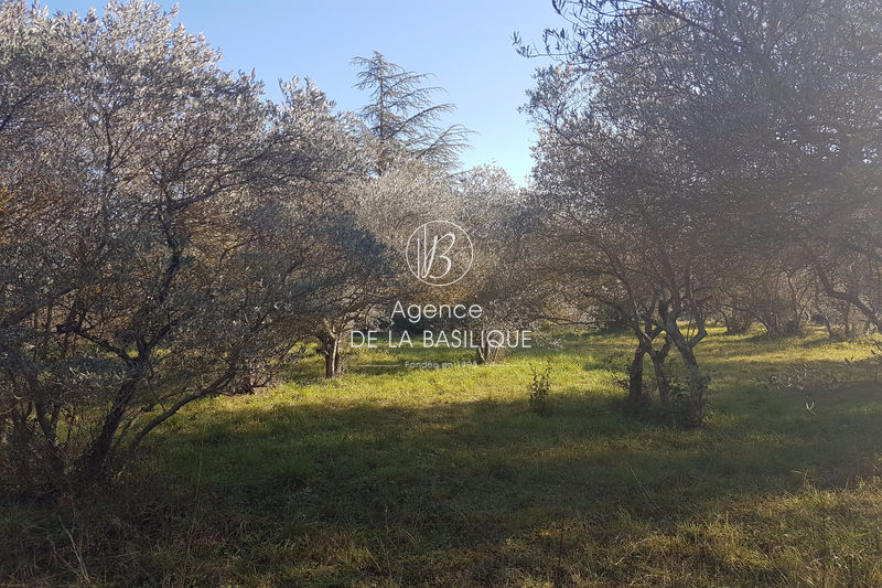 Photo Terrain Saint-Maximin-la-Sainte-Baume Village, achat terrain 1065 m²