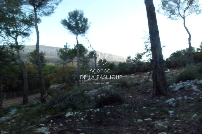 Photo Terrain Nans-les-Pins Centre-ville, achat terrain 1100 m²
