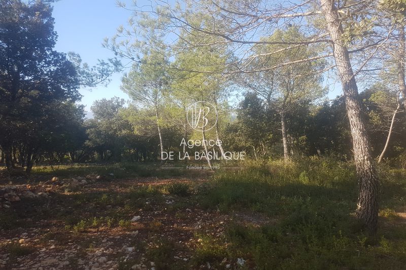 Photo Terrain Saint-Maximin-la-Sainte-Baume Hors agglomération, achat terrain 2100 m²