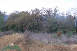 Photos Terrain à vendre Saint-Maximin-la-Sainte-Baume 83470