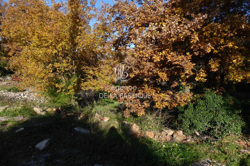 Vente terrain Saint-Maximin-la-Sainte-Baume Vente terrain Saint-Maximin-la-Sainte-Baume