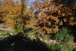 Photos Terrain à vendre Saint-Maximin-la-Sainte-Baume 83470