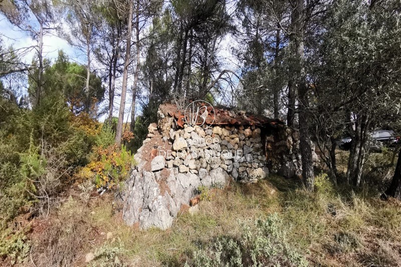 Photo Terrain agricole Saint-Maximin-la-Sainte-Baume Campagne, achat terrain agricole 13755 m²