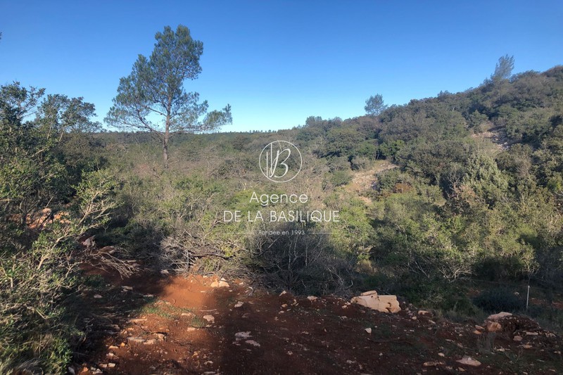 Photo Terrain Le Thoronet Hors agglomération, achat terrain 80000 m²