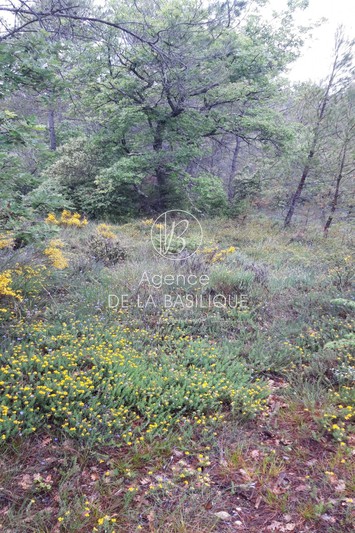 Photo Terrain Pontevès achat terrain 23300 m²