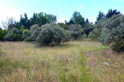 Photos Terrain à bâtir à vendre Saint-Maximin-la-Sainte-Baume 83470