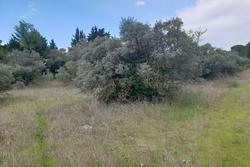 Photos Terrain à bâtir à vendre Saint-Maximin-la-Sainte-Baume 83470