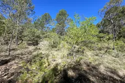 Vente terrain Varages  