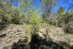 Vente terrain Varages  