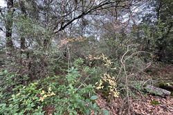 Vente terrain non constructible Saint-Maximin-la-Sainte-Baume  