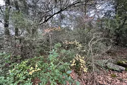 Vente terrain non constructible Saint-Maximin-la-Sainte-Baume  