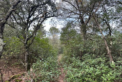 Vente terrain non constructible Saint-Maximin-la-Sainte-Baume  