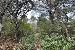 Vente terrain non constructible Saint-Maximin-la-Sainte-Baume  