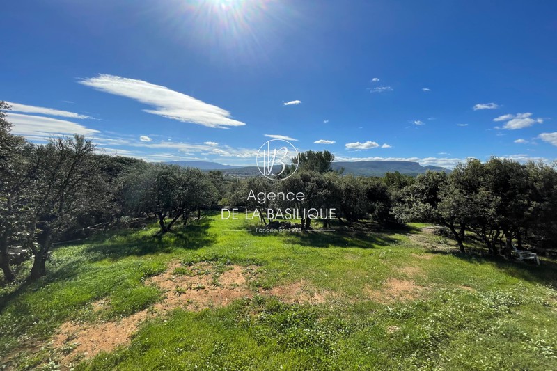 Photo n°2 - Vente Maison villa Saint-Maximin-la-Sainte-Baume 83470 - 482 500 €