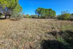 Vente maison Saint-Maximin-la-Sainte-Baume  