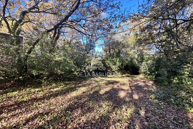 Vente maison Saint-Maximin-la-Sainte-Baume  