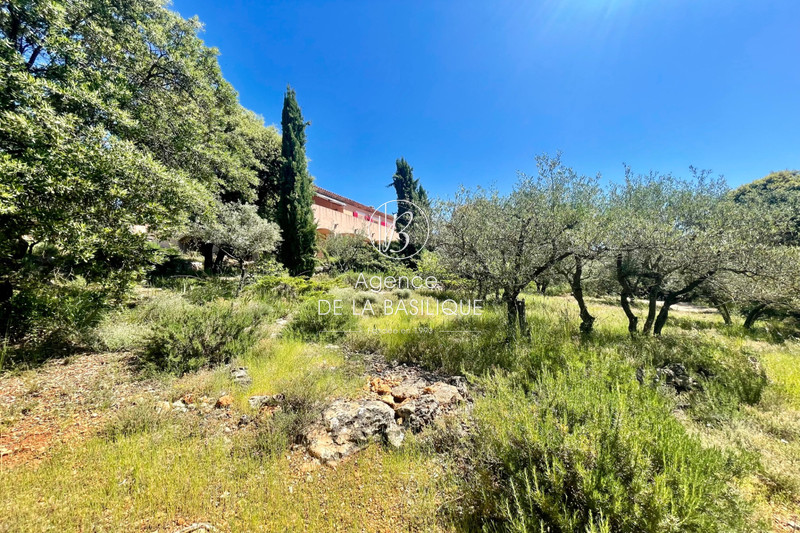 Vente maison double Saint-Maximin-la-Sainte-Baume  