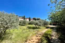 Vente maison double Saint-Maximin-la-Sainte-Baume Vente maison double Saint-Maximin-la-Sainte-Baume