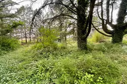 Vente maison Saint-Maximin-la-Sainte-Baume  