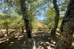 Vente maison Saint-Maximin-la-Sainte-Baume  