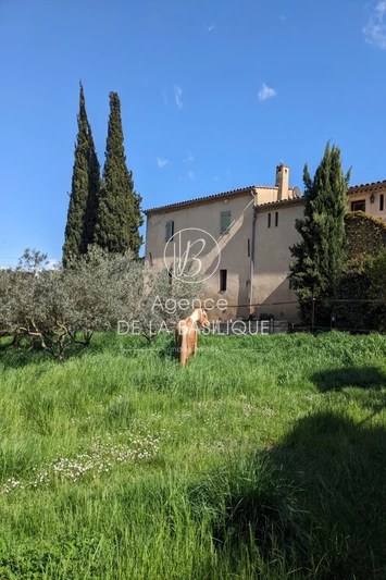 Vente maison en pierre Ollières  