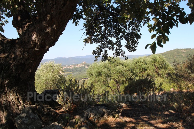 Vente maison Grimaud  