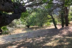 Photos Terrain à bâtir à vendre La Garde-Freinet 83680