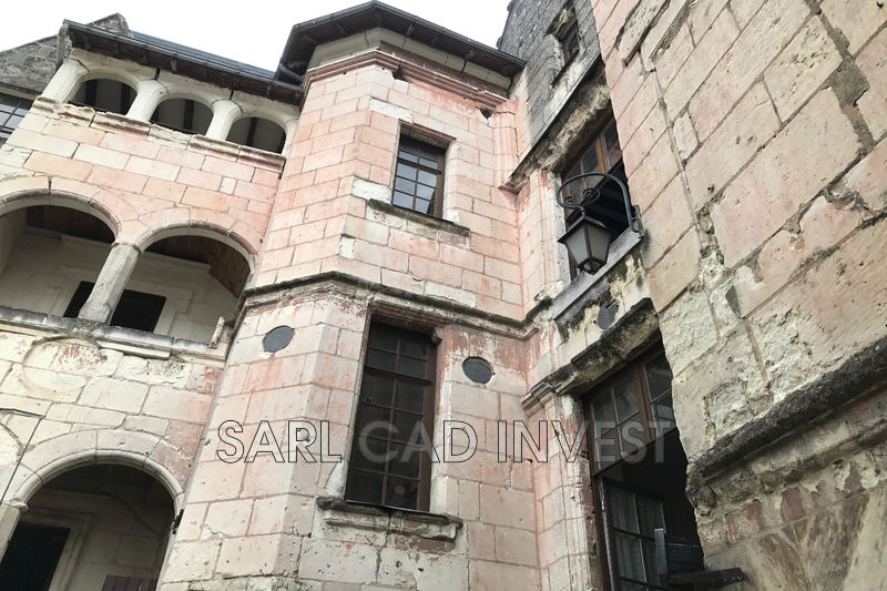 vente Vente local commercial murs immeuble Tours 30 min de tours Murs immeuble Tours 30 min de tours, Professionnel murs immeuble 1000 m²