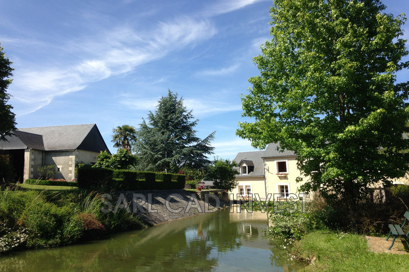 vente Maison propriété Neuillé-pont-pierre Village Propriété Neuillé-Pont-Pierre Village, achat propriété 5 chambres 350 m²