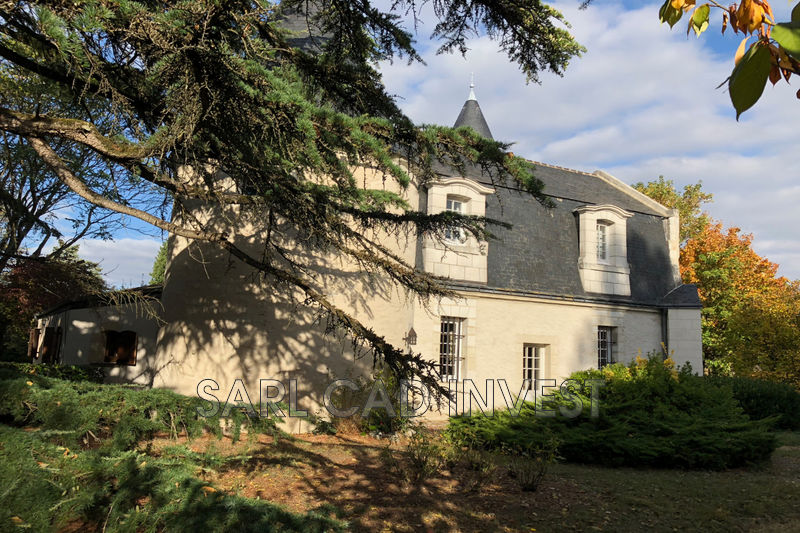 Photo Château Tours Centre-ville, achat château 5 chambres 250 m²