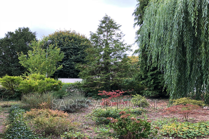vente Maison Loches Centre-ville Maison Loches Centre-ville, achat maison 6 chambres 220 m²