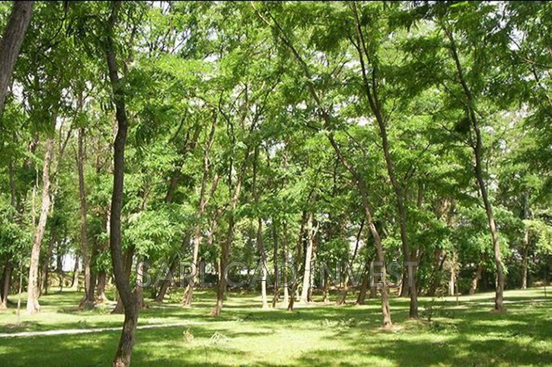 vente Terrain Savonnières Village Terrain Savonnières Village, achat terrain 812 m²