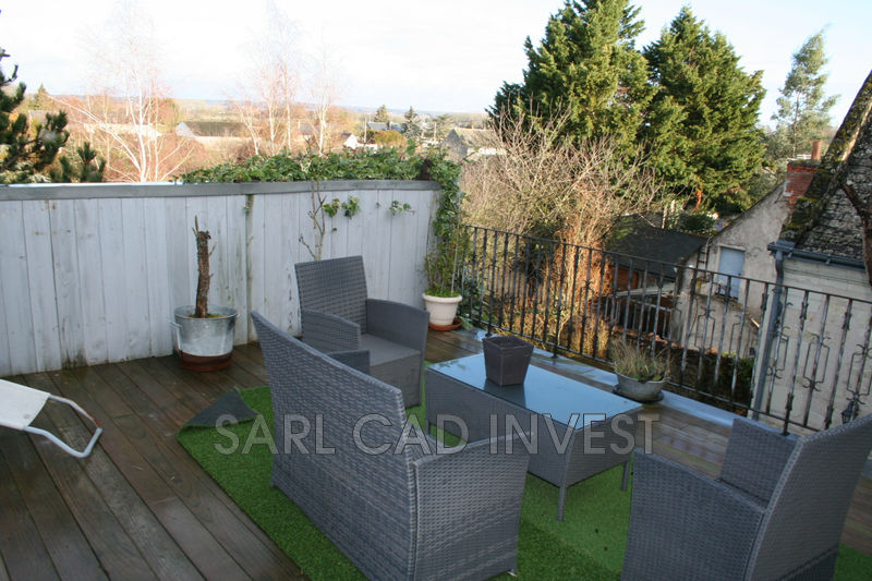 vente Maison demeure de prestige Langeais Centre-ville Demeure de prestige Langeais Centre-ville, achat demeure de prestige 5 chambres 257 m²