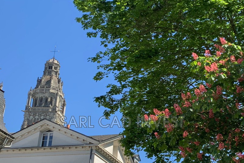 vente Appartement Tours Quartier cahedrale tours Appartement Tours Quartier cahedrale tours, achat appartement 5 pièces 125 m²