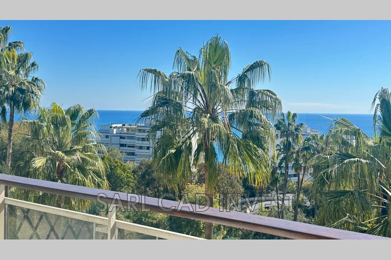 vente Appartement Vallauris Californie, proche palm beach et croisette cannes Appartement Vallauris Californie, proche palm beach et croisette cannes, achat appartement 3 pièces 54 m²