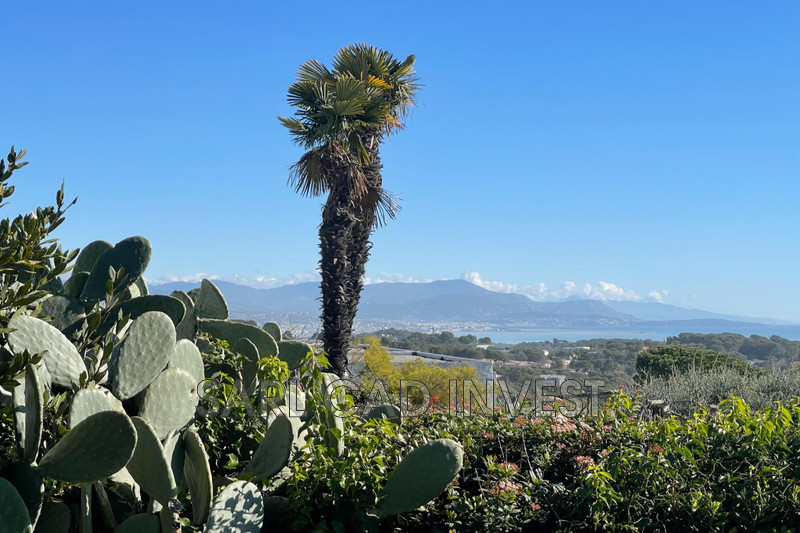Vente maison Vallauris  